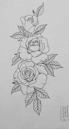 a black and white drawing of roses with leaves on the bottom half of each flower