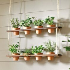 several potted plants are hanging on the wall with rope and wooden shelves above them