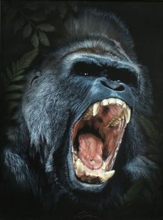 a gorilla with its mouth open showing teeth