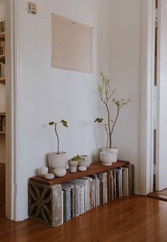 three potted plants sit on top of bookshelves in a room with hardwood floors