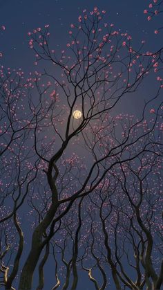 the moon is shining through the branches of trees