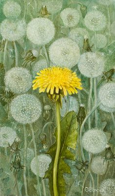 a painting of a dandelion in the middle of a field with other flowers