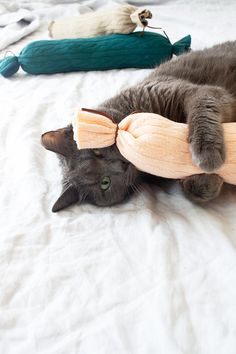 a gray cat laying on top of a white bed