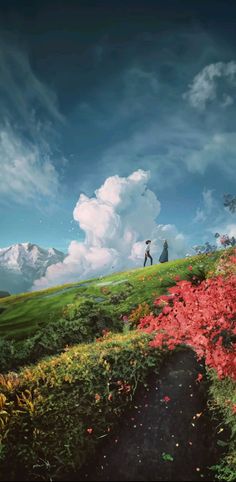 two people standing on top of a lush green hillside under a cloudy blue sky with red flowers