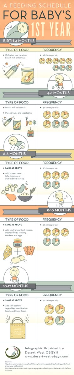 an info sheet showing different types of food