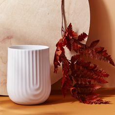 a white vase sitting next to a plant on top of a wooden table covered in leaves