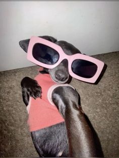 a dog wearing sunglasses laying on the floor with its paws up to it's face