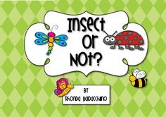 a book cover that says insect or no? with pictures of bugs and bees on it