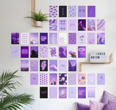 the wall is covered with purple and black squares, which are arranged in different shapes