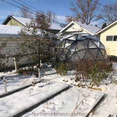 a backyard covered in snow and surrounded by trees