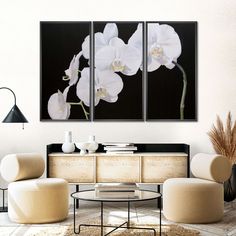 three white orchids on black and white background in living room with coffee table, sideboard and chairs