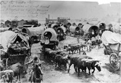 an old black and white photo of people with horses, wagons and sheep in the desert