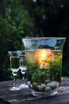 two glasses filled with water sitting on top of a wooden table next to rocks and plants