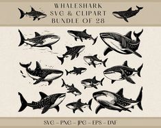 whale shark svg and clipart bundle of 8 for silhouettes, photoshopped or cut files