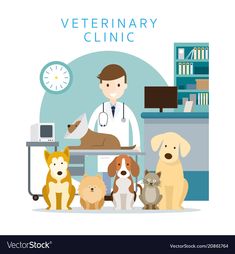 veterinary with dogs and cats in the office