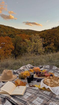 an open book and some food on a blanket with trees in the background at sunset