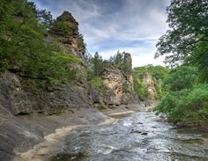 a river running through a lush green forest filled with rocks and trees on either side