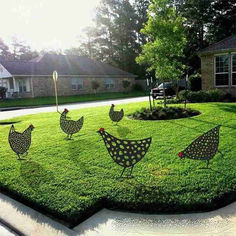 some chickens are standing in the grass near a lawn with trees and bushes on it