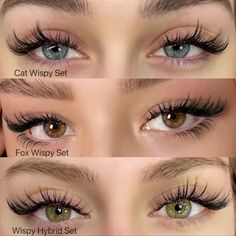 LASHES Hybrid Lashes Styles, Eyelashes For Downturned Eyes, Wispy Doll Lashes, Lash Extension Fox Eye, Eyelash Extensions Styles For Round Eyes, Almond Lash Extensions, Different Eyelash Styles, Lash Set Ideas, Different Lash Sets