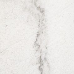 a white marble counter top with an animal track in the middle