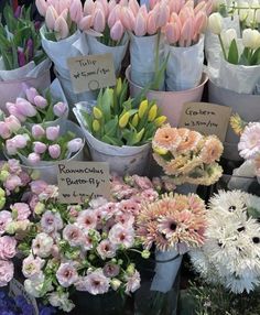 many different types of flowers in vases for sale at a flower shop with price tags on them