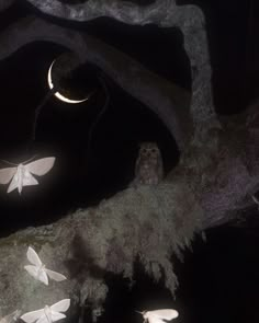 an owl is sitting on a tree branch at night with the moon in the background