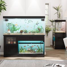 an aquarium in a living room with plants and other items on the floor next to it