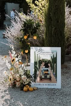 a sign sitting on the side of a road next to flowers and trees with oranges