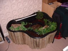 a fish pond with plants growing out of it's sides in a living room