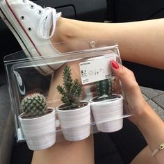 a woman is sitting in a car with her legs crossed and two small cactuses