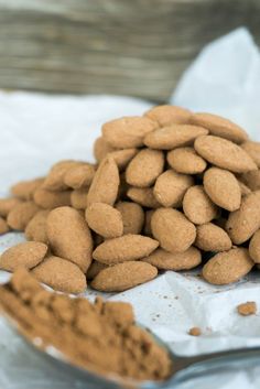 a pile of dog food sitting on top of a white paper towel next to a spoon