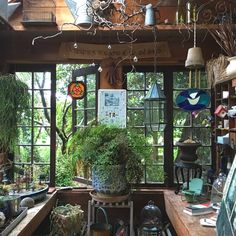 a room filled with lots of potted plants