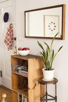 a potted plant sitting on top of a wooden shelf in front of a mirror