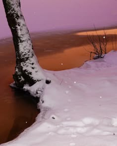 there is a tree in the middle of some snow covered ground with water behind it