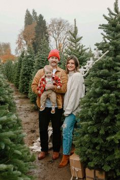 a man and woman holding a baby standing in front of christmas trees at a tree farm