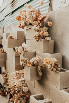 several cement blocks with flowers growing out of them