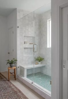 a bathroom with a walk in shower next to a rug and potted plant on the floor