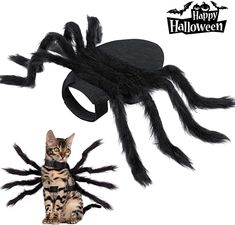 a cat sitting next to a fake spider