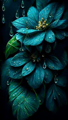 blue flowers with raindrops on them are photographed in the dark room, and it looks like they have fallen apart