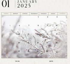 an image of a calendar with frosty branches on the front and back pages in white