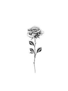 Rose Tattoos Men, Rose Minimal Tattoo, Rose Tattoo For Men, Small Rose Tattoo Men, Typographic Tattoo, Single Rose Tattoos, Small Rose Tattoo