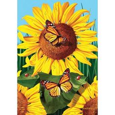 sunflowers and butterflies with blue sky in the background