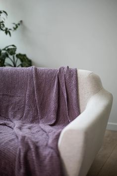 a couch with a purple blanket on top of it next to a potted plant