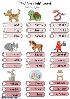 an english worksheet with pictures of animals and words to help kids learn how to read