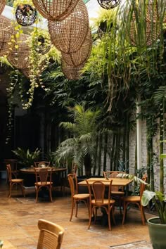 an outdoor dining area with wicker chairs and tables surrounded by plants, hanging from the ceiling