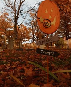 a trick or treat sign sitting in the middle of a leaf covered ground with trees and leaves around it