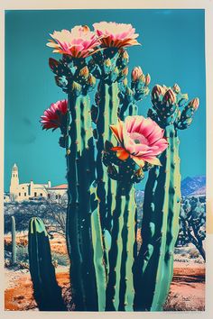 a cactus with pink flowers in front of a blue sky