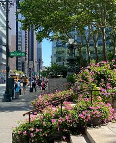 people are walking down the street in front of tall buildings and trees with pink flowers on them