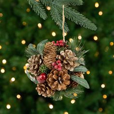 This unique ball ornament will add a touch of nature to your trees with pine needles and pinecones. The red berries and shiny apples provide a pop of color. It will be will be your favorite ornament for many years to come. Pinecone Christmas, Holiday Store, Jute Rope, Pine Needles, Christmas Ball, Christmas Ornaments To Make, Ornaments Design, Ball Ornaments, Red Berries