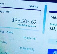 a computer screen showing the balances and savings